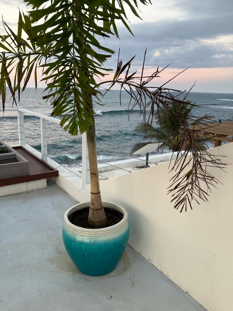 Starlink satellite providing backup internet at Arenas Negra